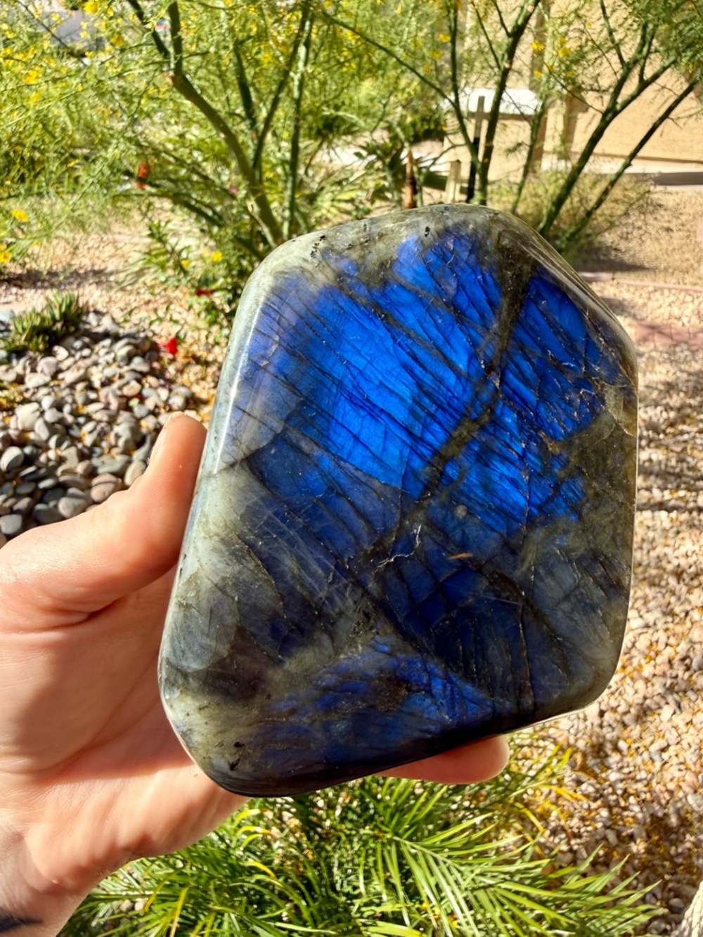 Labradorite Freeform 1132g Blue Flash Crystal Display Stone 4.5”